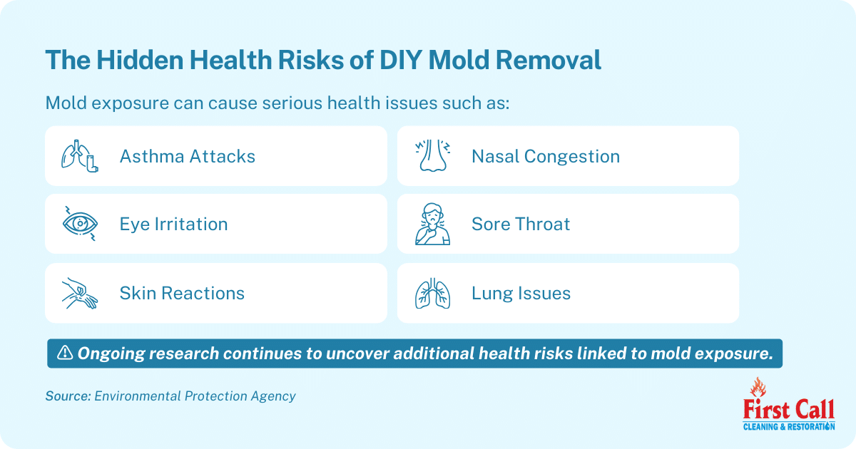 Health risks of diy mold removal