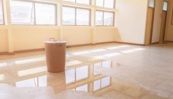 when should your business call a water damage restoration company