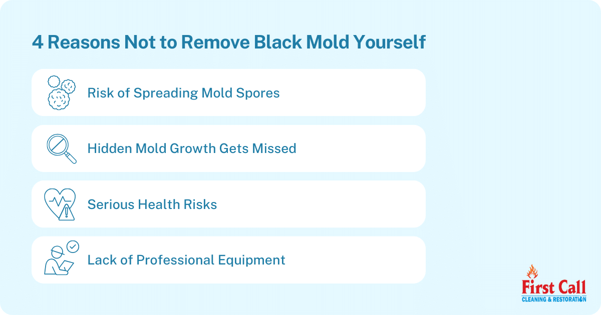 Can you remove black mold yourself