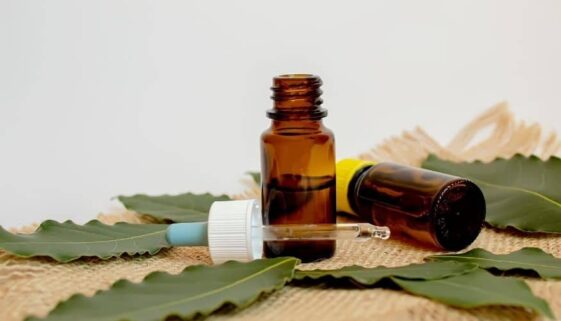 the important and surprising role of essential oils in remediation