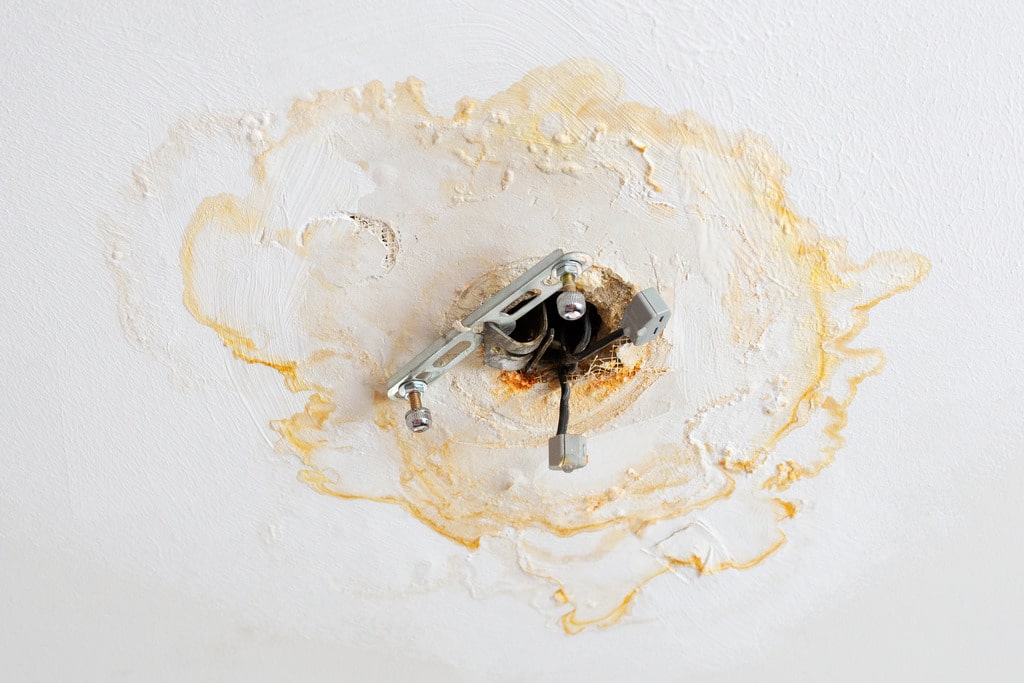 can water damage fix itself