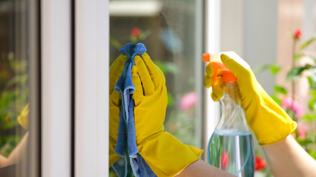 A Closeup of Gloved Hands Reveals How Our Services Can Help With Your Spring Cleaning