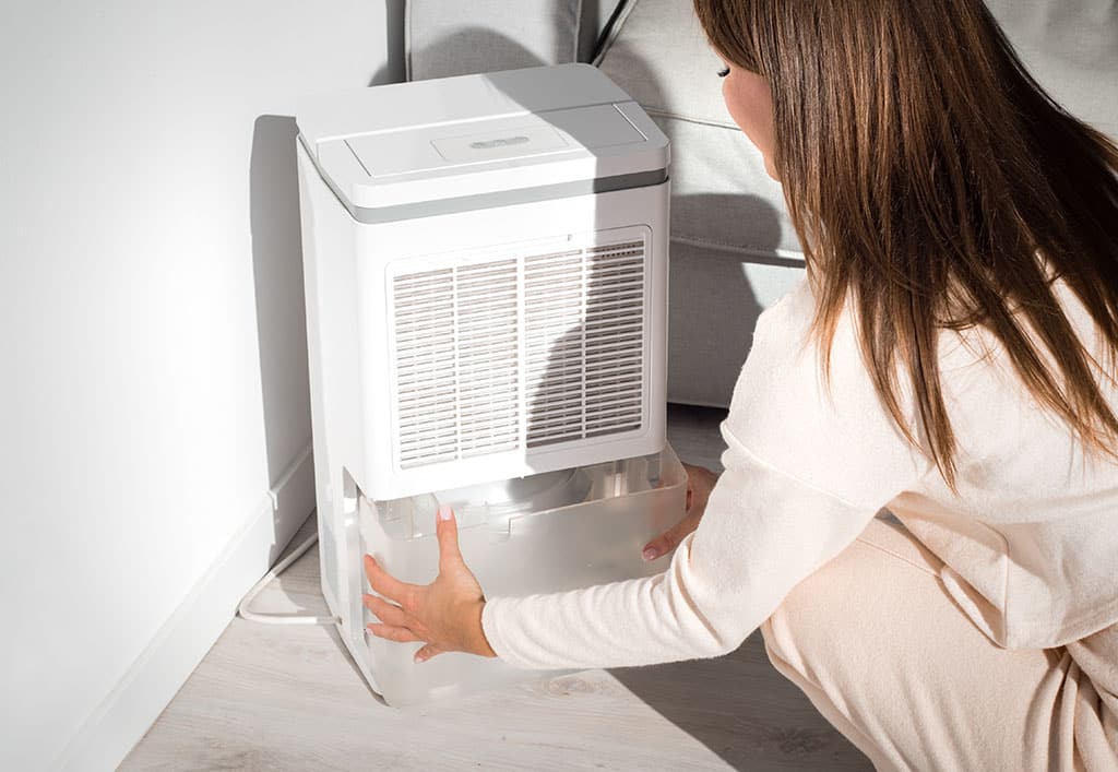 A Woman Removing The Water Container Of Her Dehumidifier How Often Do Dehumidifiers Need to Be Emptied