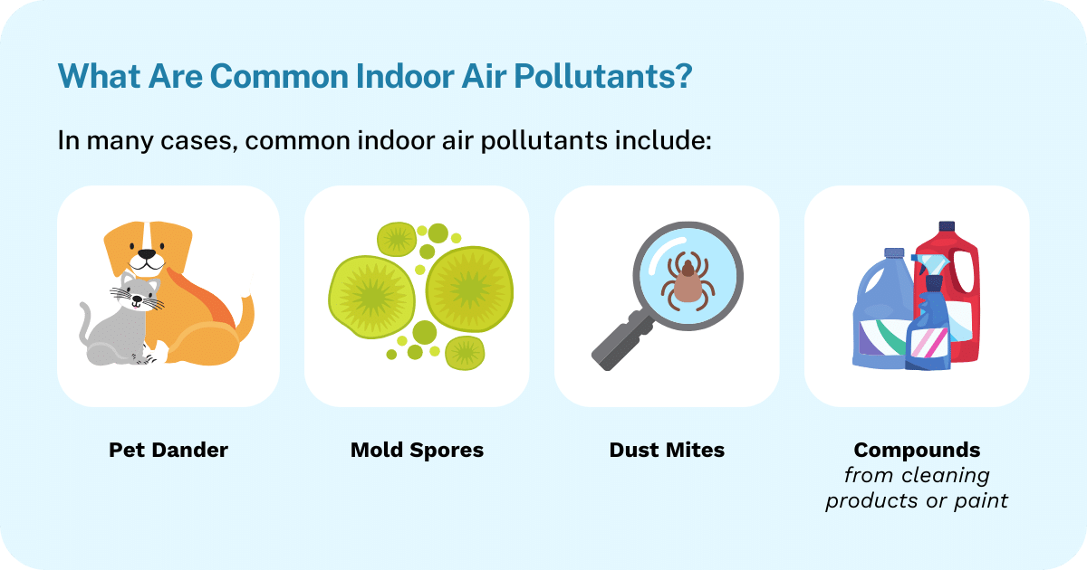 Most common home air pollutants