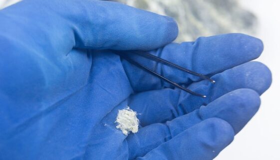 Closeup Of A Gloved Hand Holding An Asbestos Fiber Air Quality Test For Asbestos
